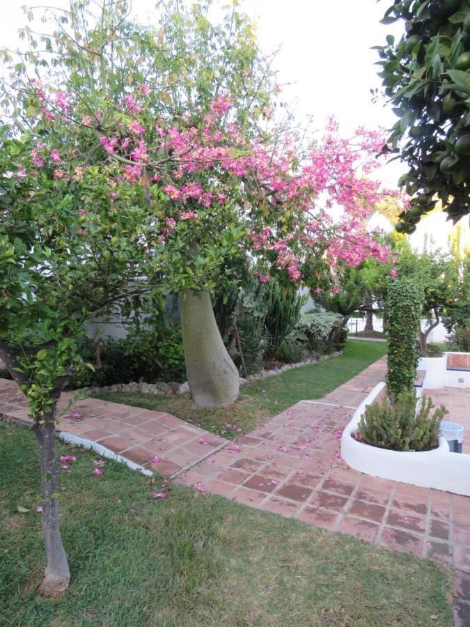 Apartamento Bien Situado En Marbella Exterior photo